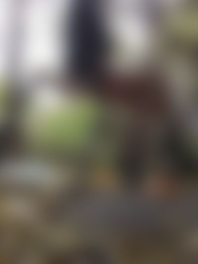 SlimCD's hot photo – thumbnail
